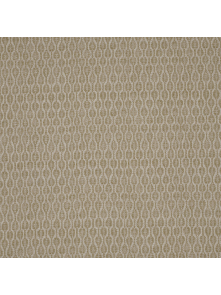 Acacia