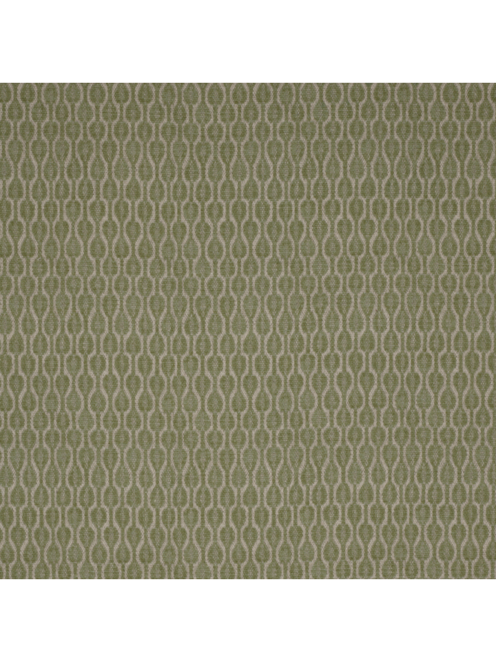 Acacia