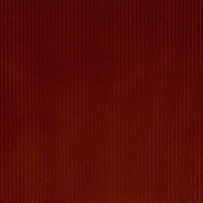 Aniseed