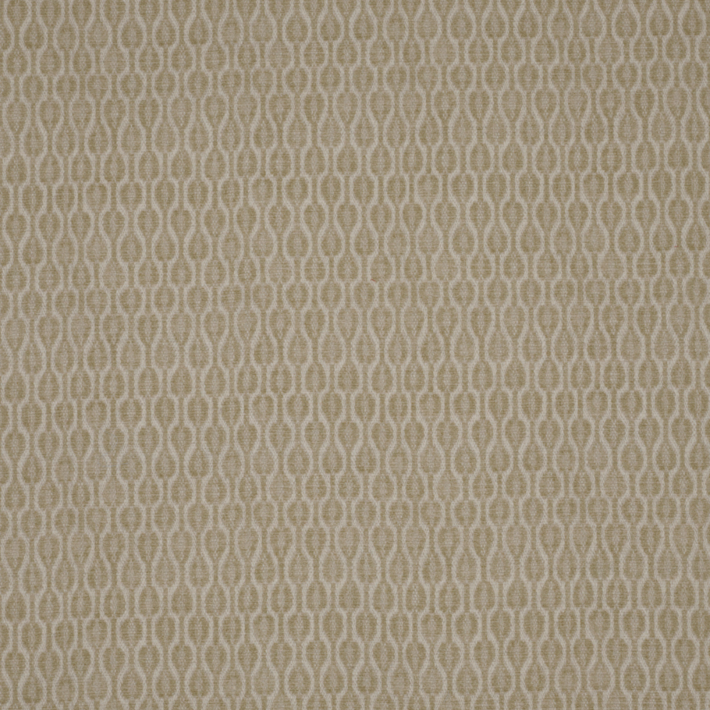 Acacia