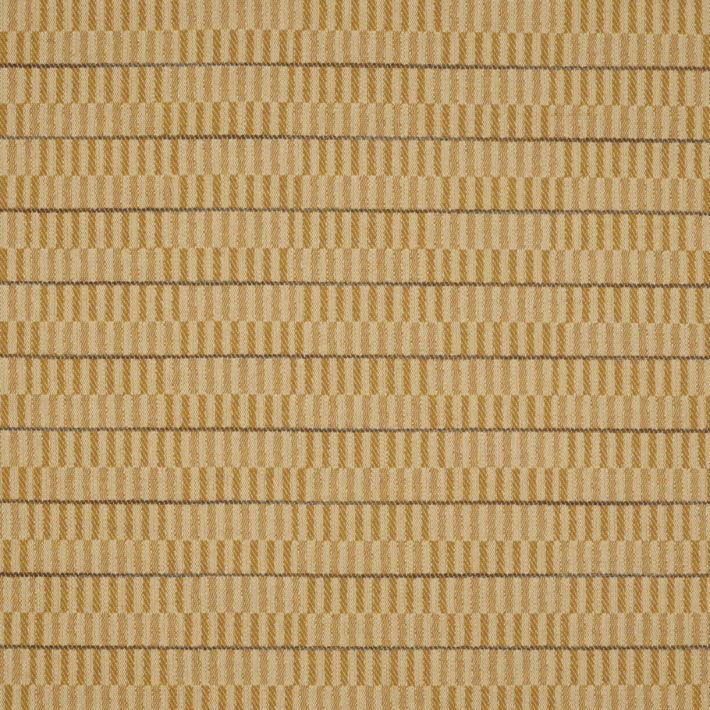 Maize  