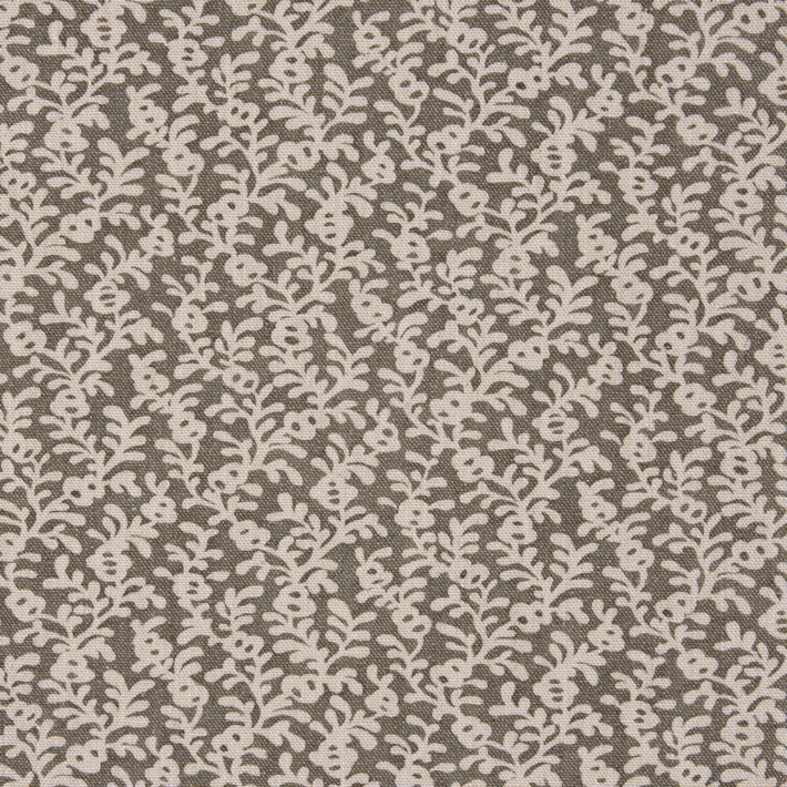Coral Reef