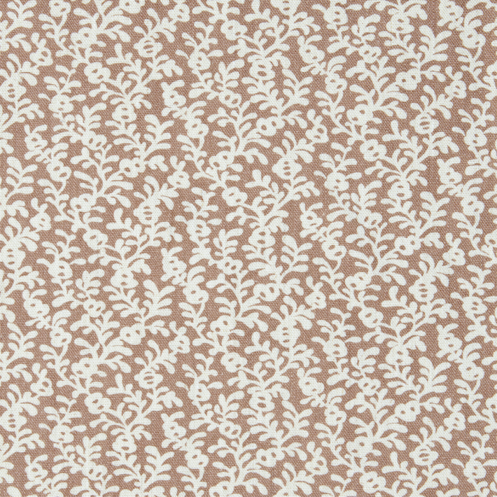 Coral Reef