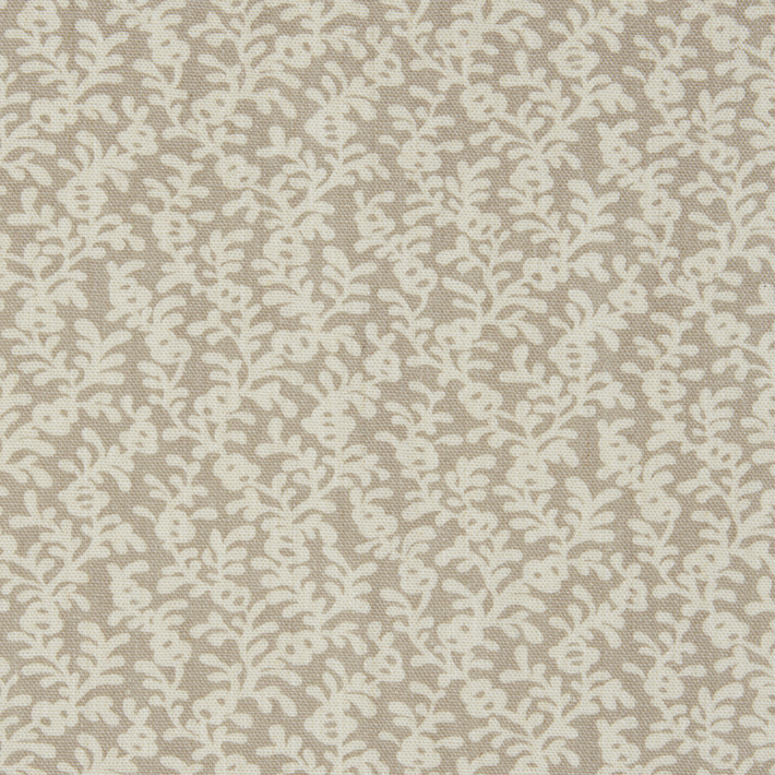 Coral Reef
