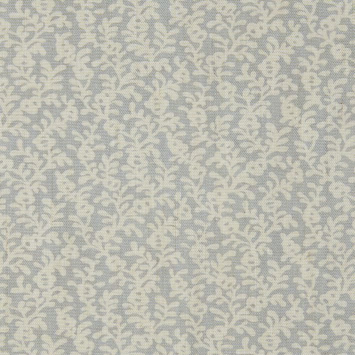 Coral Reef