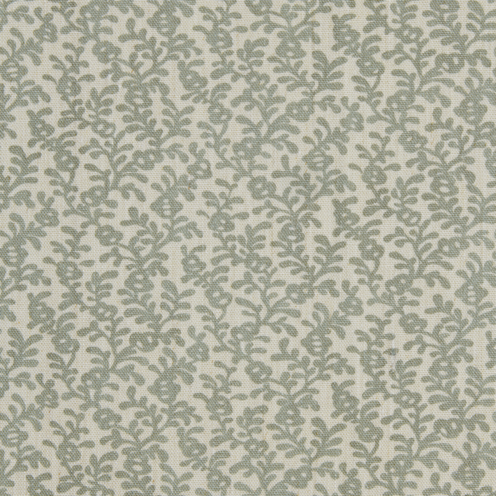 Coral Reef