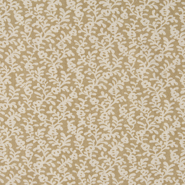 Coral Reef