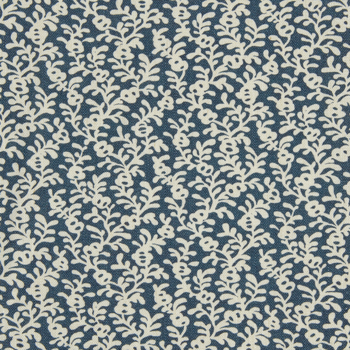 Coral Reef