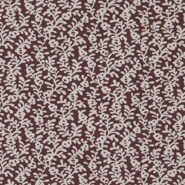 Coral Reef