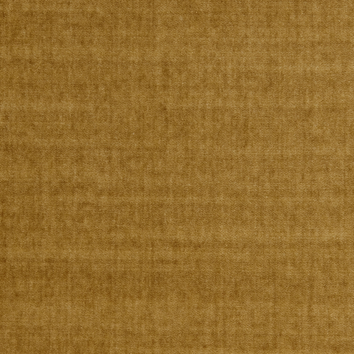Spencer Velvet