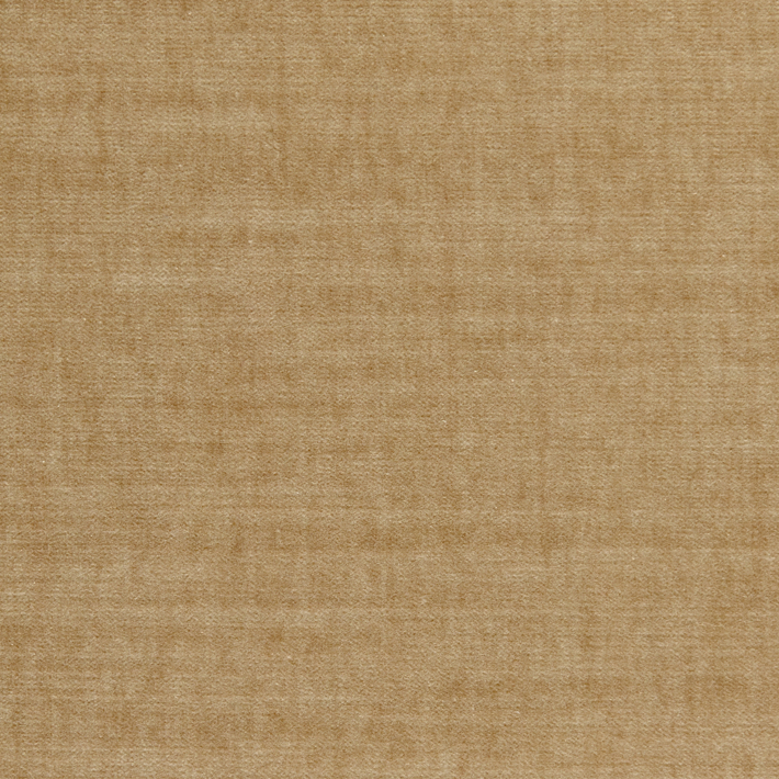 Spencer Velvet