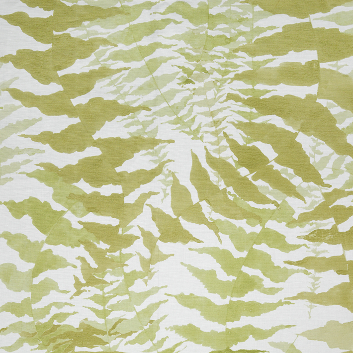 Fern - Limited Stock