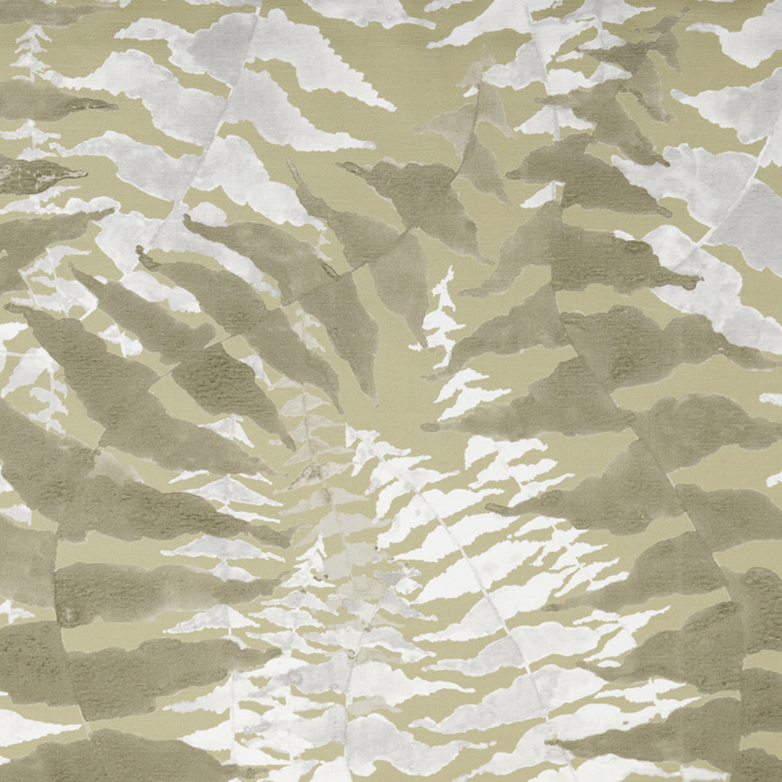Fern