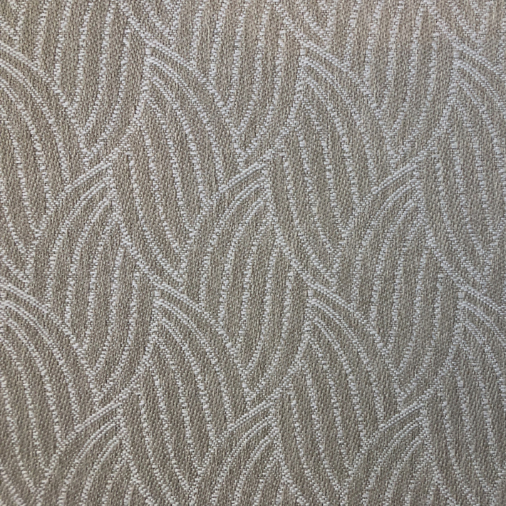 Palm Leaf