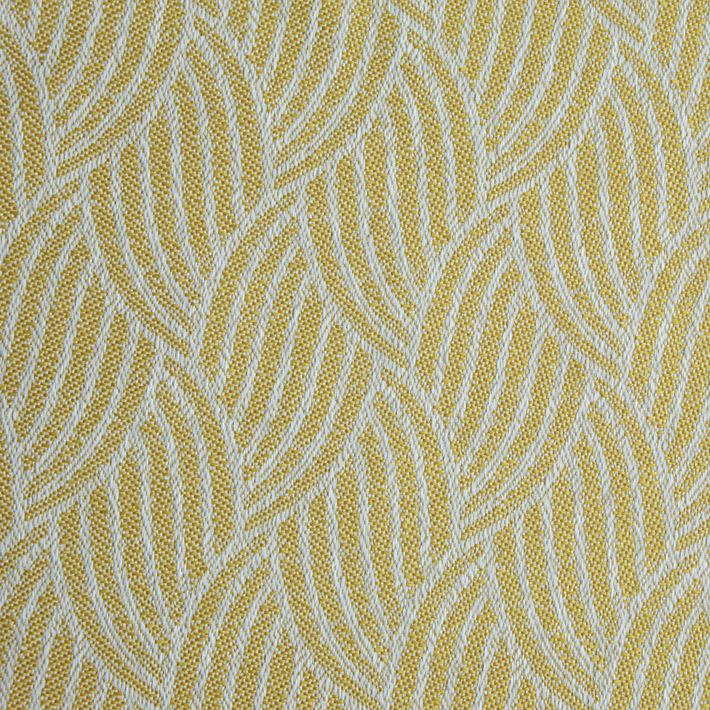 Palm Leaf