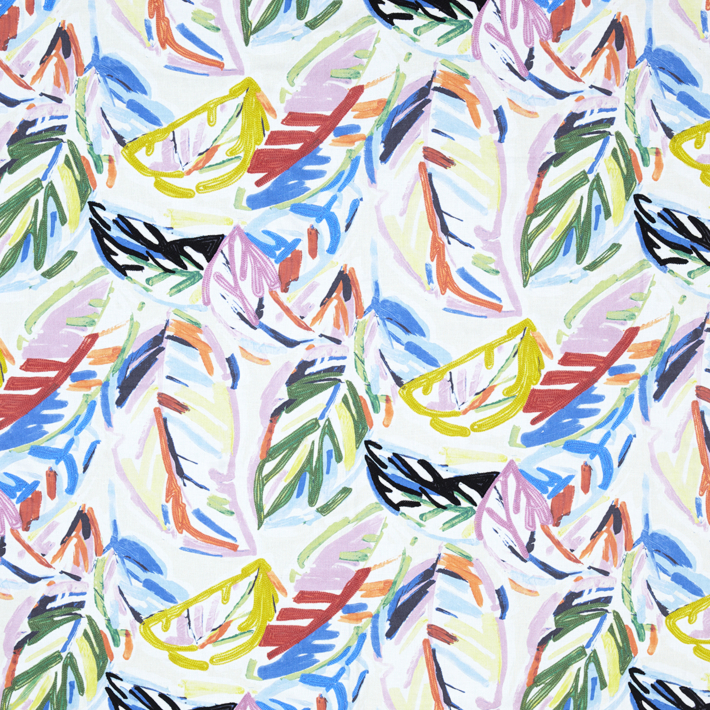 Cinchona - Limited Stock 