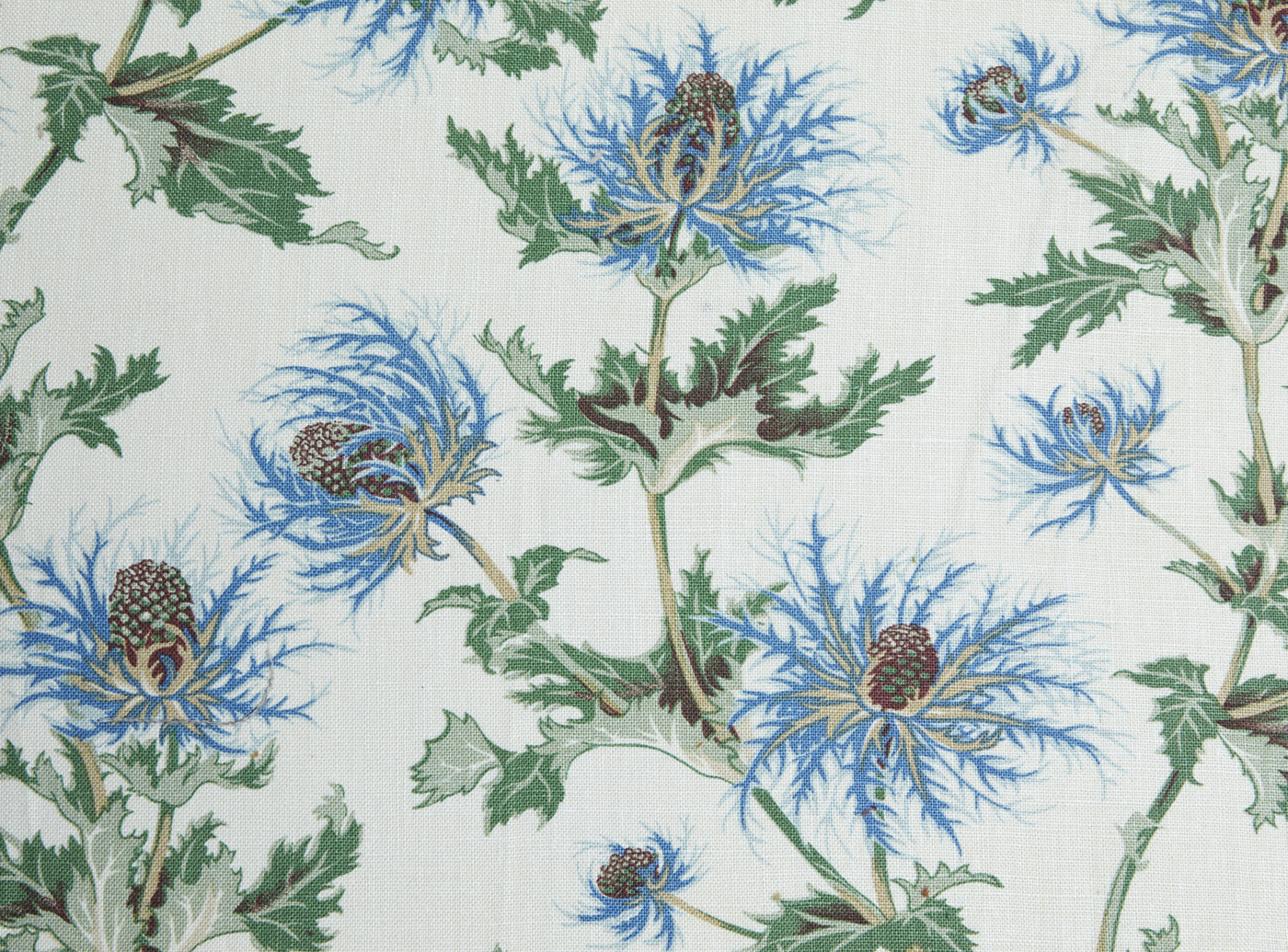 Thistle