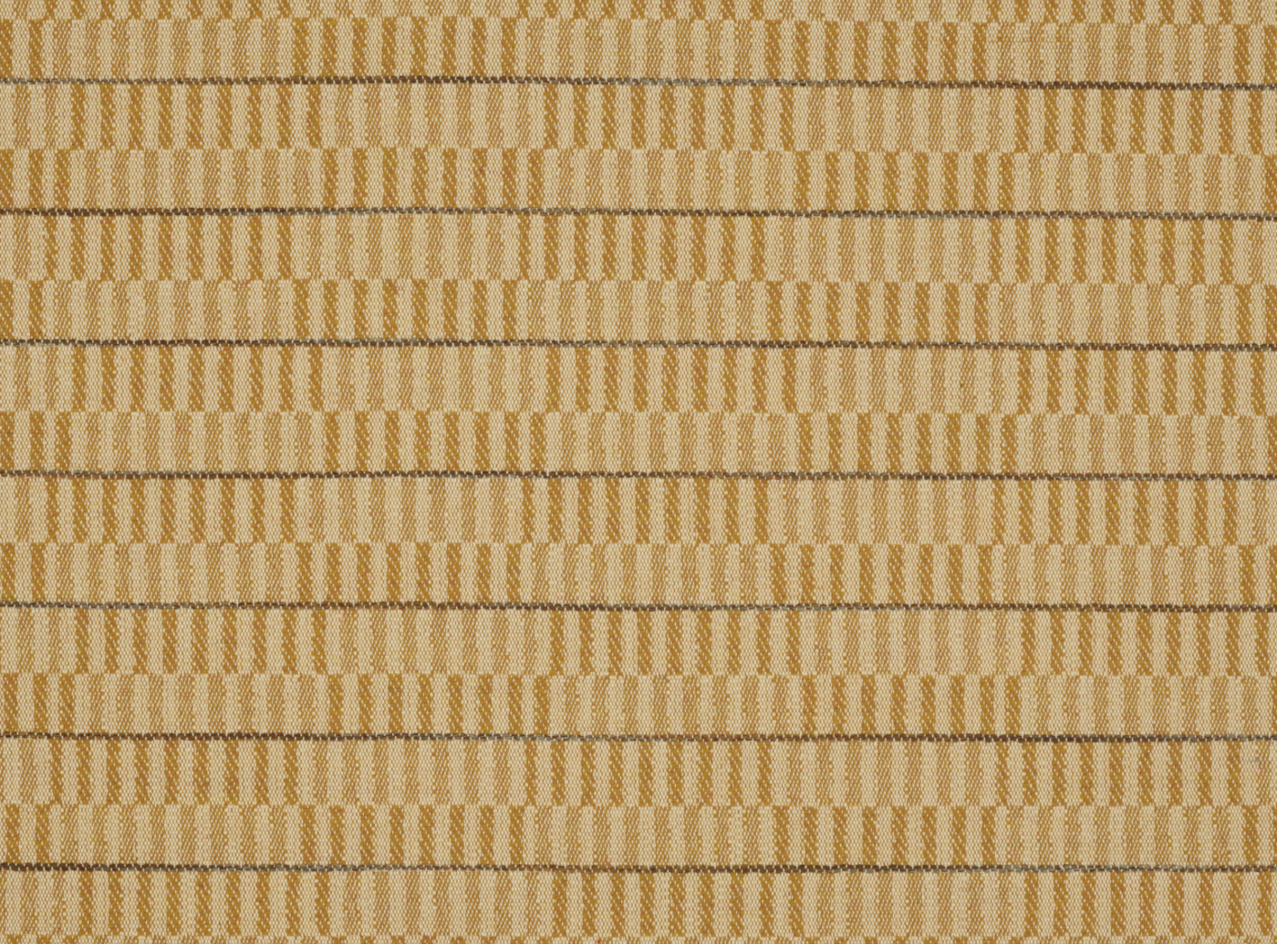 Maize 