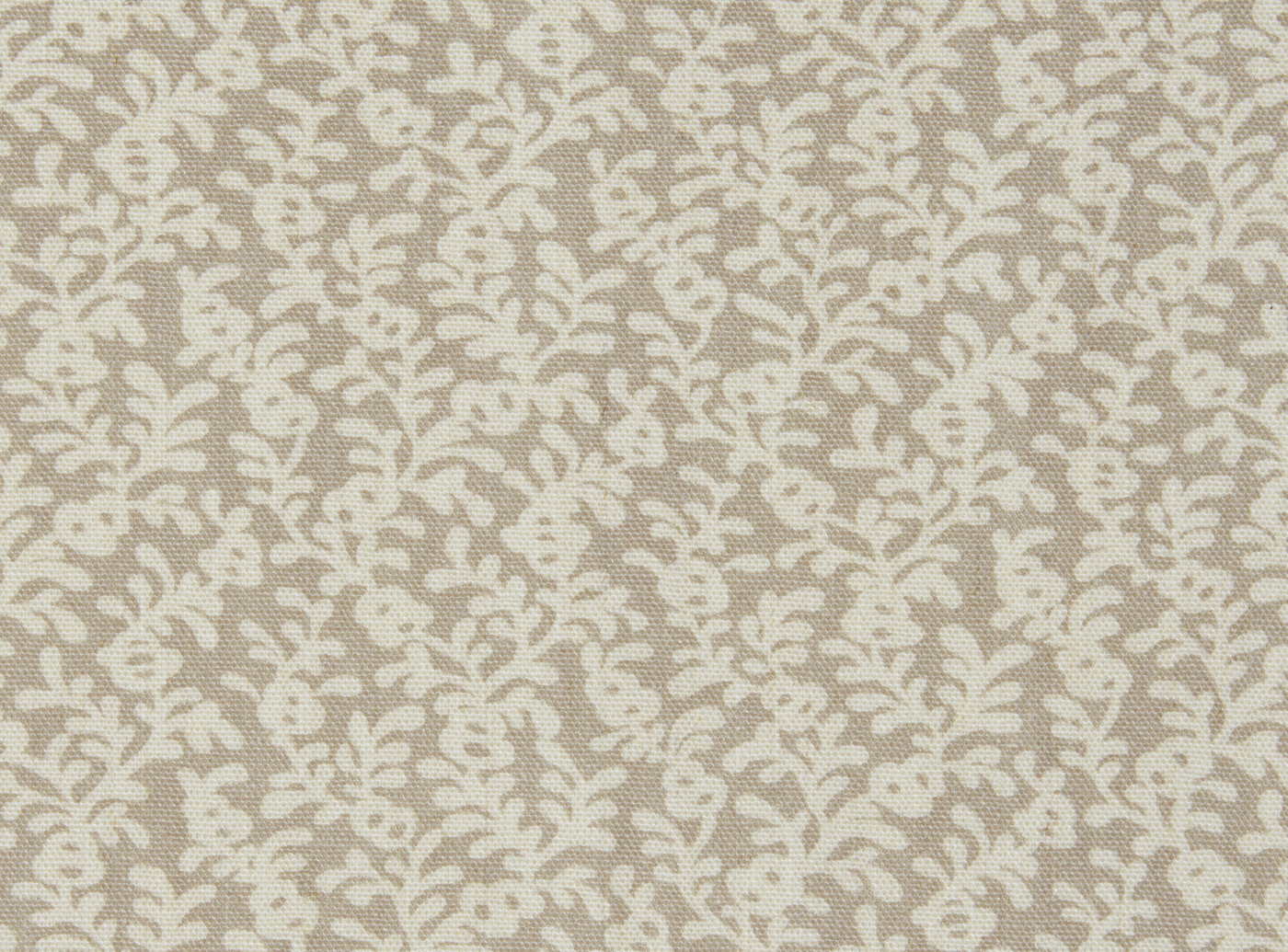 Coral Reef