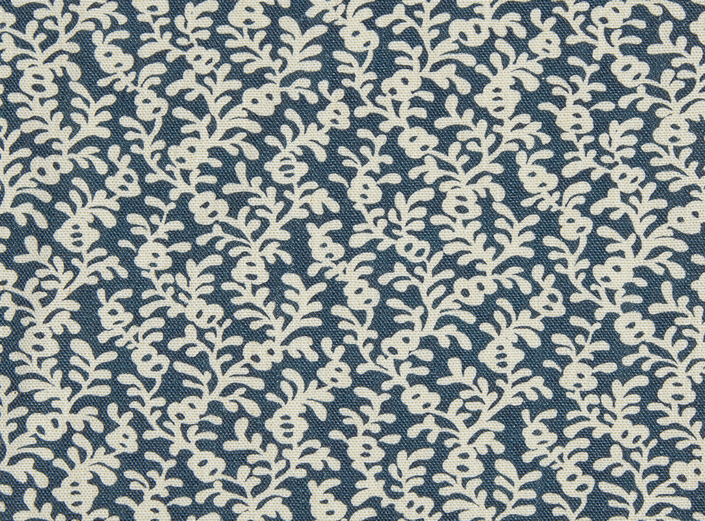 Coral Reef