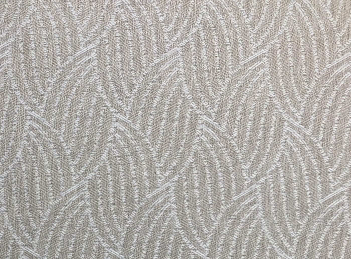 Palm Leaf