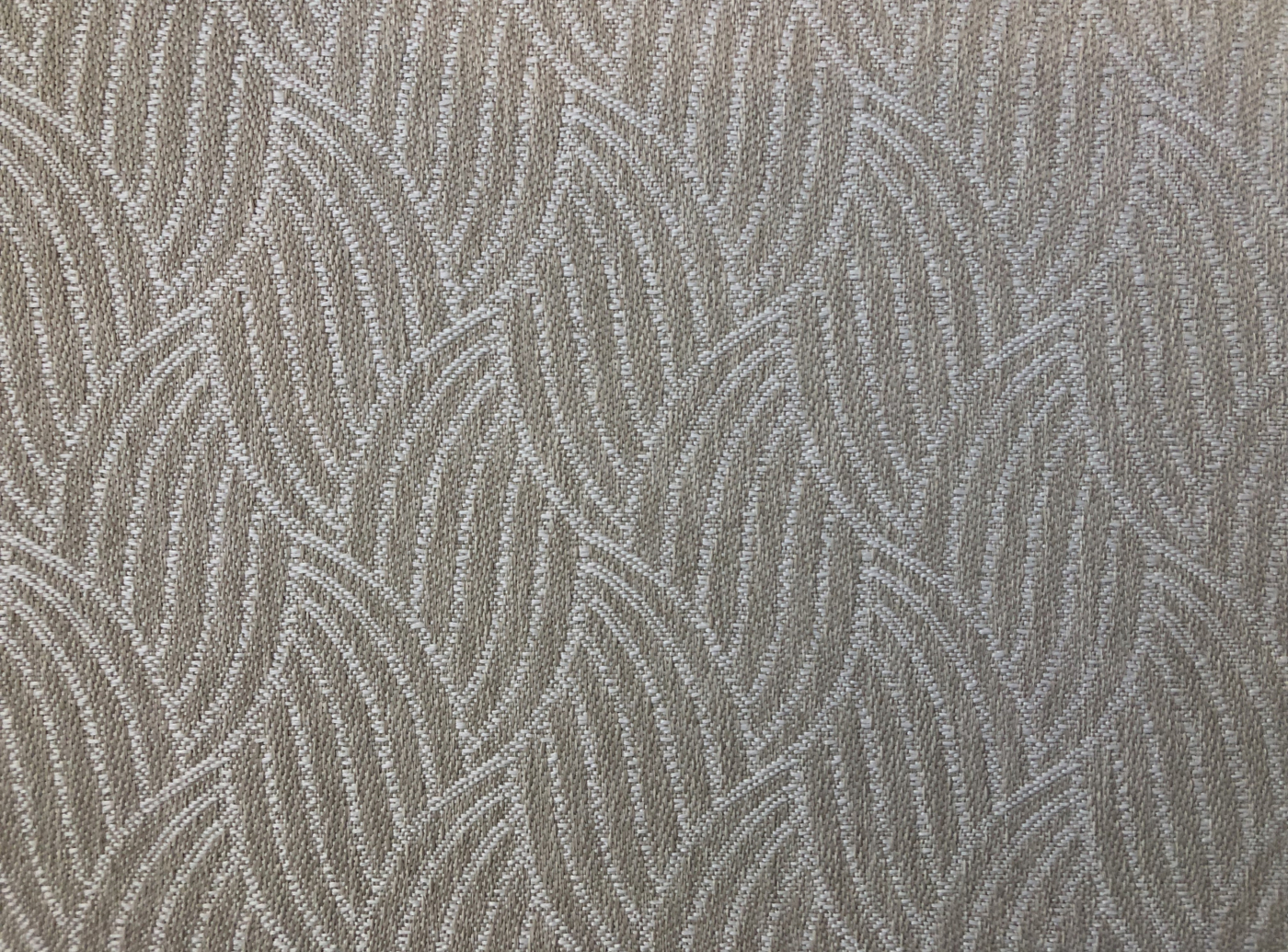Palm Leaf