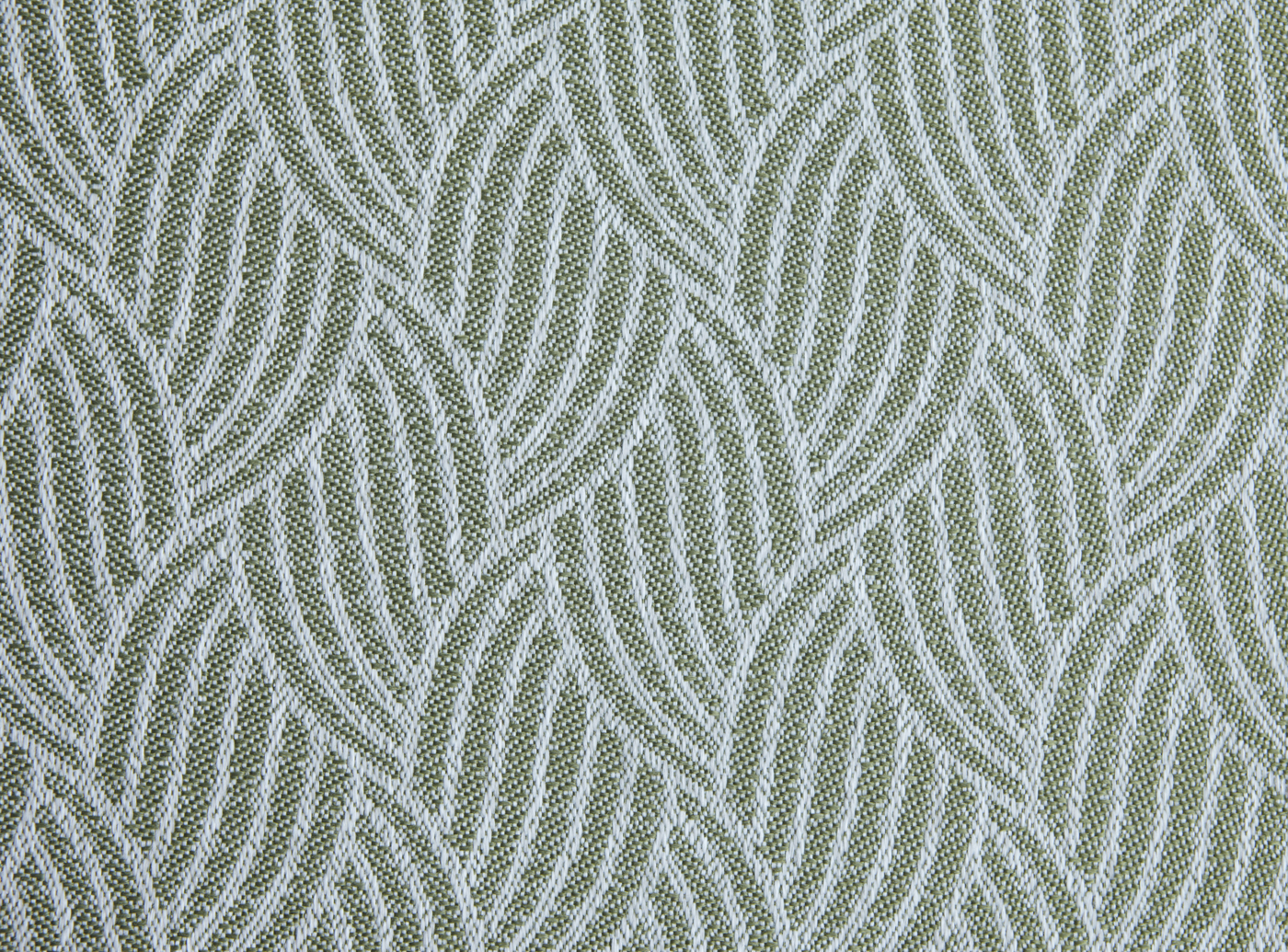 Palm Leaf