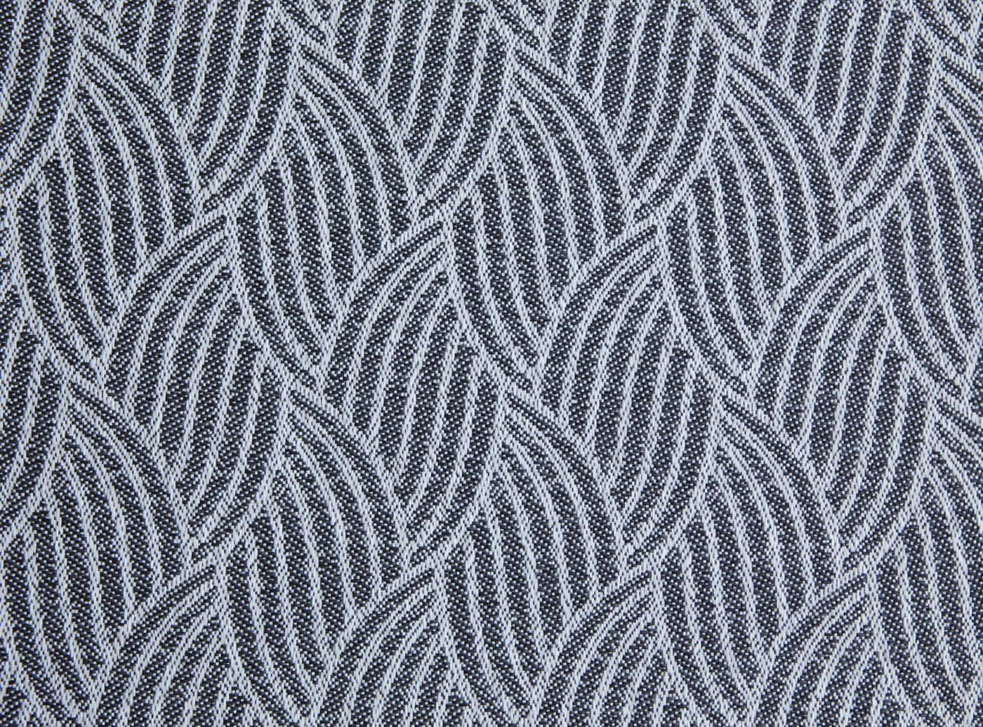 Palm Leaf
