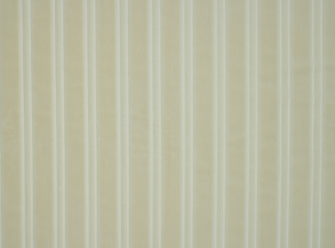 Hokey Cokey - Limited Stock