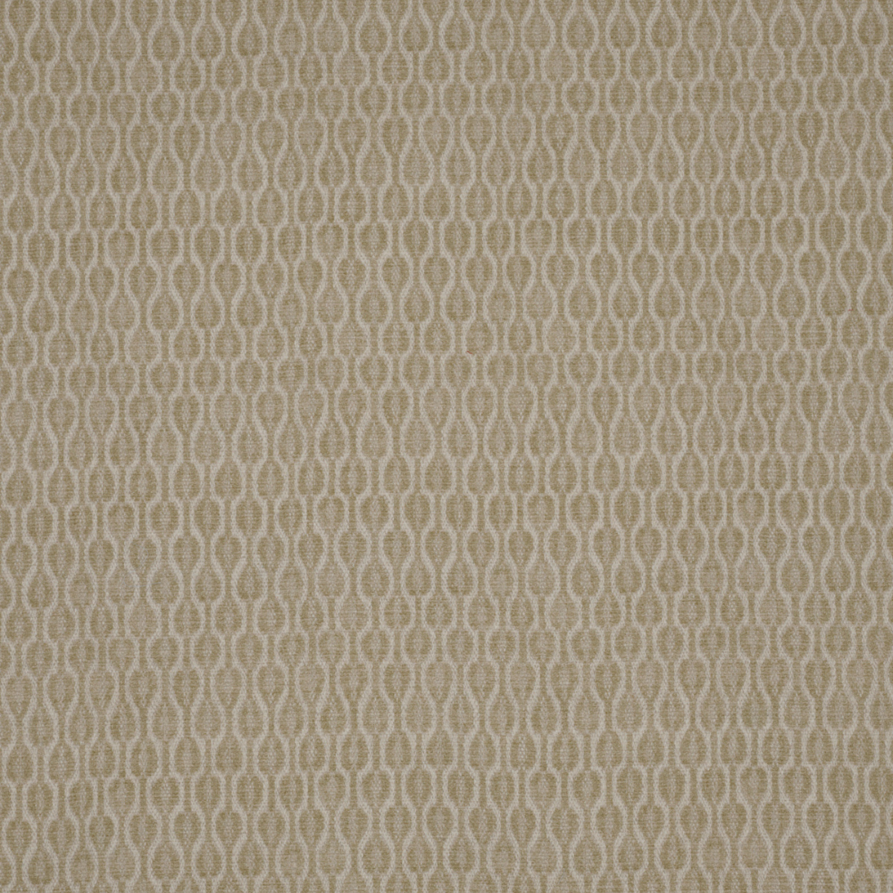 Acacia