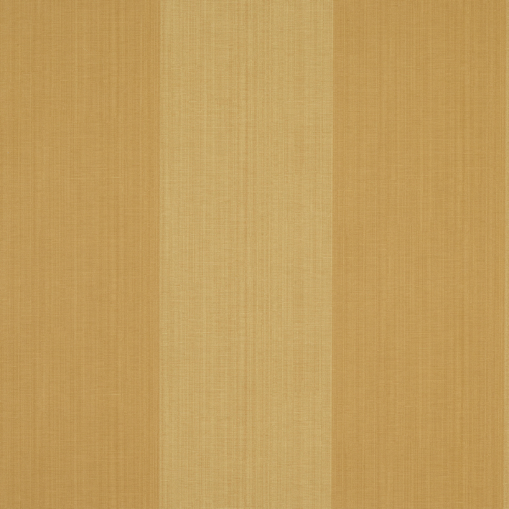 Spencer Stripe