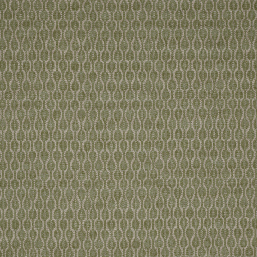 Acacia