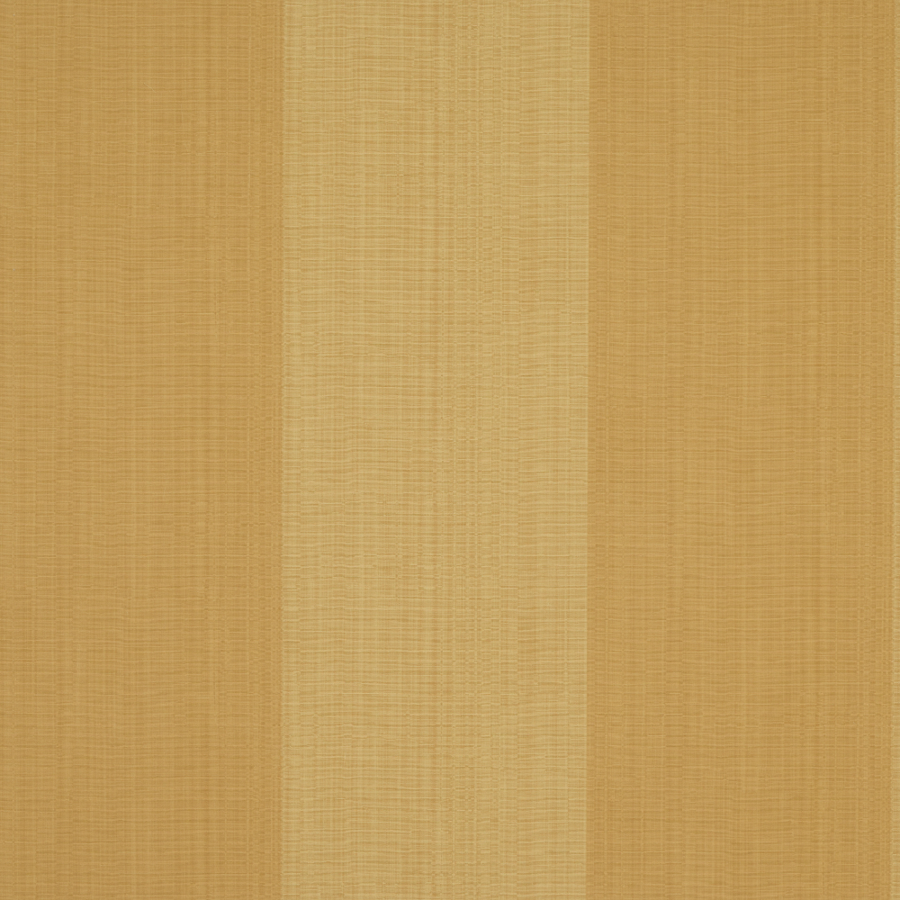 Spencer Stripe