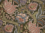 Hasu