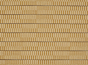 Maize 