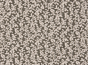 Coral Reef