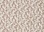 Coral Reef