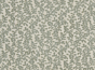 Coral Reef