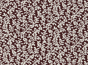 Coral Reef