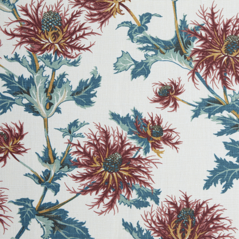 Thistle