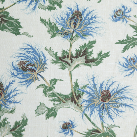 Thistle