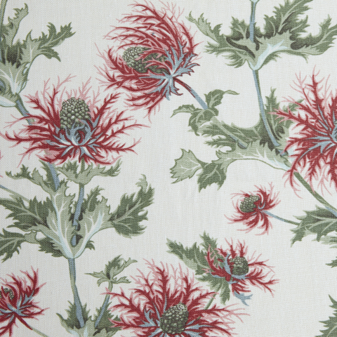 Thistle