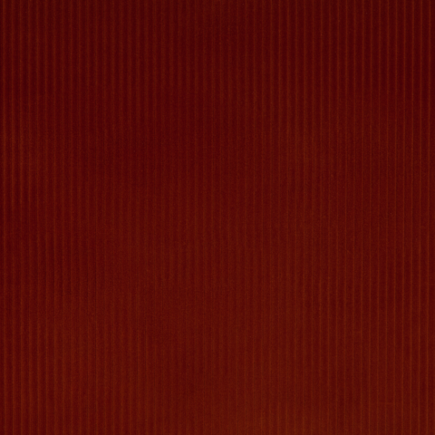 Aniseed