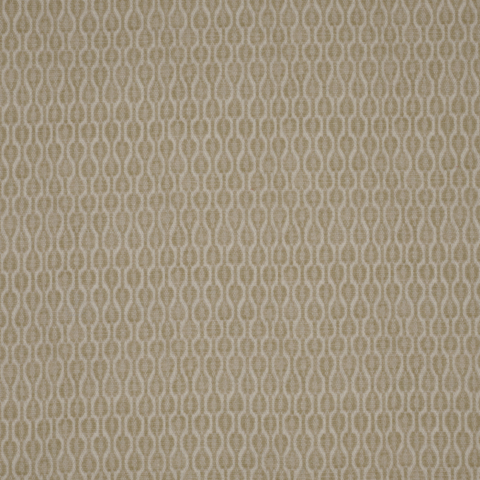Acacia