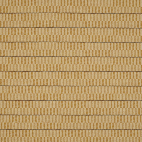 Maize  