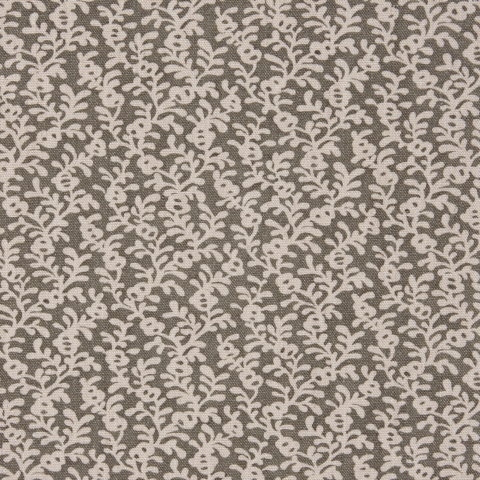 Coral Reef