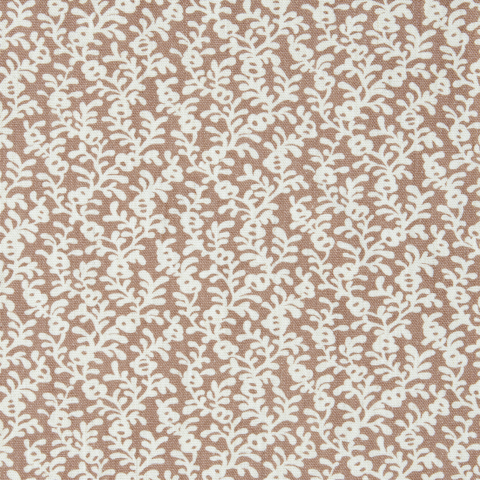 Coral Reef
