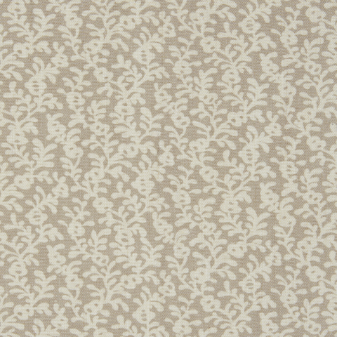 Coral Reef