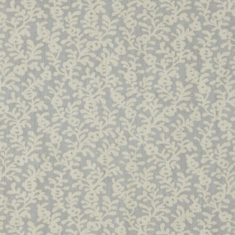 Coral Reef