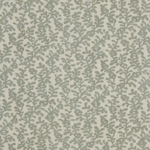 Coral Reef